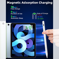 Stylet Actif en Plastique de Qualité Supérieure WK pour iPad 2018-2026, Double Chargement Magnétique Sans Fil USB-C, Rejet de la Paume, Capacitif