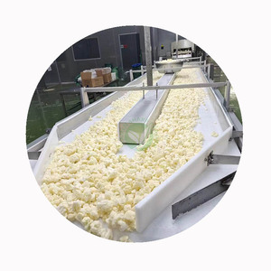 XMSD Chou-fleur surgelé <span class=keywords><strong>IQF</strong></span> pour soupes, accompagnements et sautés, certifié HACCP ISO, export en vrac - Product Image 2