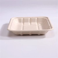 Eco Green Square Bagasse Biologisch afbreekbare herbruikbare wegwerp fruitbak