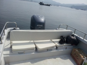 Grandsea -950, Bote de Pesca de 9.6m con Consola Central de Fibra de Vidrio y Motor - Product Image 4