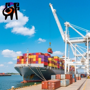 Spedizione internazionale israele: servizio DDP porta a porta a prezzi accessibili per acquisti Taobao e merci a basso costo - Product Image 1