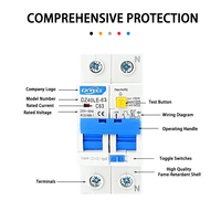 Pabrik OEM RCBO DZ40LE-63 10A 32A 63A Pemutus Sirkuit Arus Residual dengan Perlindungan Arus Lebih 2P L+N 50HZ 230V In=30mA