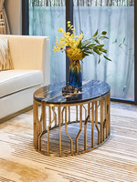 Table basse de style nordique, luxe léger, minimaliste et moderne, idéale pour les petites maisons ; ovale en acier inoxydable et marbre pour salon