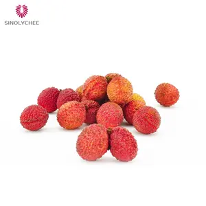 Premium Exporters Seedless Lychee Agriculture Products Lychee Bulk New Crop China Top Grade Fresh Fruit Lychee