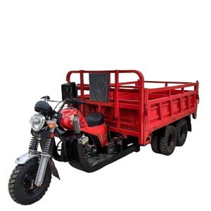 Tricycle à essence avec moteur 300cc/350cc, tricycle de transport robuste à neuf roues, tricycles personnalisables - Product Image 5