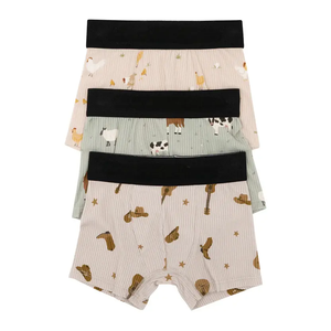 Caleçons en coton pour enfants à motif dessin animé, vente chaude en usine, sous-vêtements pour garçons, caleçons pour enfants, Calcinha Infantil - Product Image 5