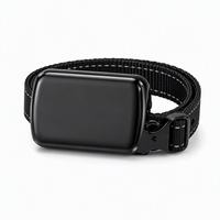 Traceur GPS pour animaux de compagnie avec logo personnalisé, suivi en temps réel 4G GPS WiFi LBS, localisateur pour chat et chien, OEM ODM, étanche, CE FCC, sans frais mensuels