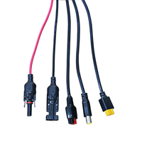Câble de connexion solaire en PVC noir, connecteur mâle-femelle, pour panneau solaire photovoltaïque, conducteur en cuivre étamé