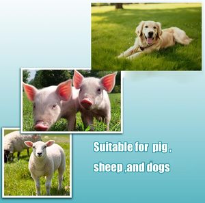 3.5 MHz portatile sonda portatile macchina ad ultrasuoni per cani di grossa taglia pecore suini altri animali strumenti veterinari per animali domestici - Product Image 6