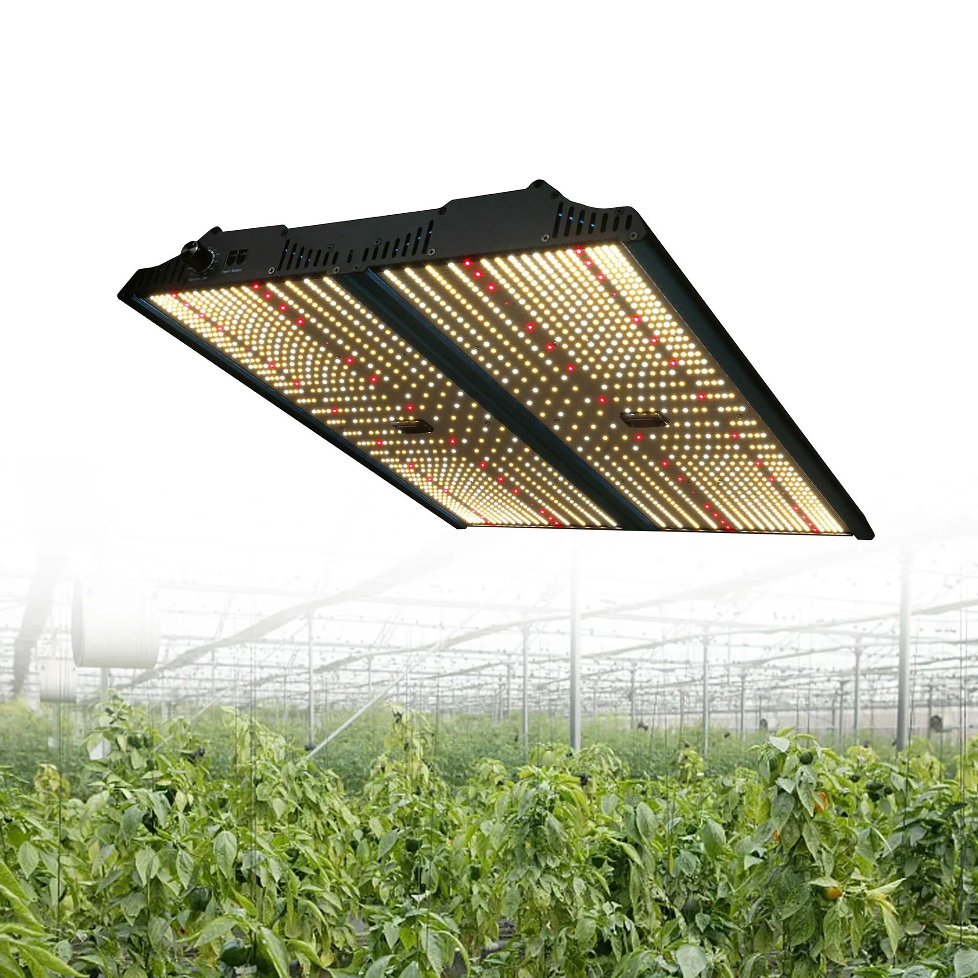 แผงไฟ LED 450W 2023ใหม่แผงไฟแผนแสงสเปกตรัมเต็มรูปแบบสำหรับปลูกพืชเรือนกระจกในร่มแผงไฟปลูกพืชไฮโดรโปนิกส์