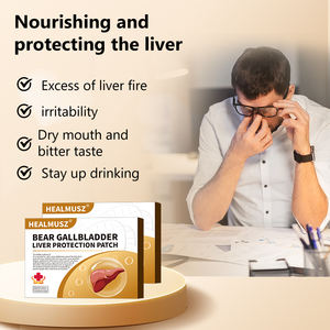HEALMUSZトラベルエッセンシャル肝臓ケアパッチ-コンパクトハーバルデトックスパッチOEM受け入れ - Product Image 5
