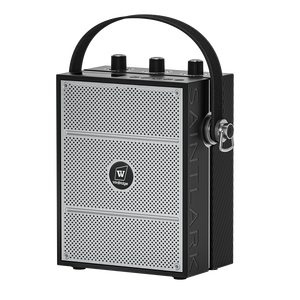 Winbridge 40W Audio Solution <strong>Wireless</strong> Hifi <strong>Speakers</strong> with Microphone - Product Image 1