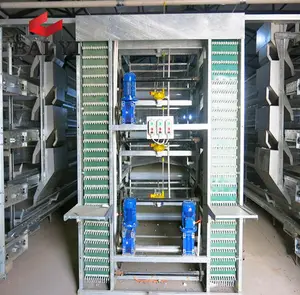 Sistem kandang lapisan unggas otomatis tipe terbuka untuk bangladesh