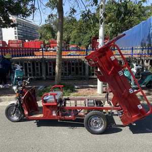 Easy to <b>Operate</b> 30 Degrees Climbing for Seniors Motor Trike for - Product Image 5