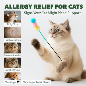 Friandises pour chats probiotiques OEM, hypoallergéniques, huile de poisson naturelle, vitamine, soutien immunitaire, supplément à mâcher souple, estomac sensible - Product Image 3