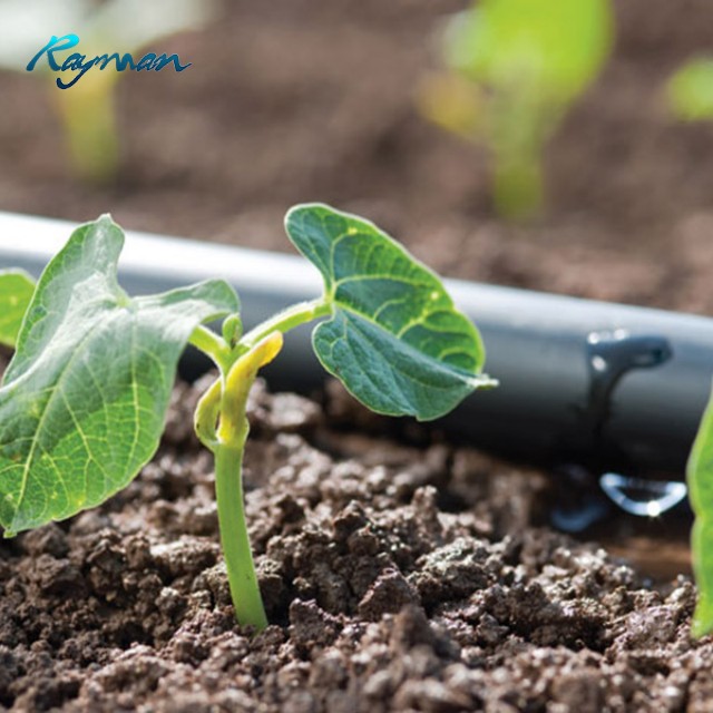 Прямая продажа с фабрики, 16 мм, 20 мм, водосберегающая и эффективная Встроенная капельная ирригационная лента, система капельного орошения