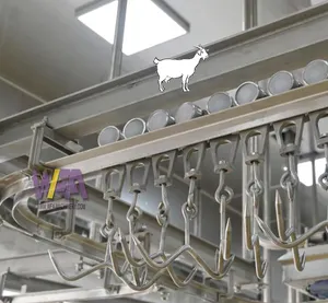 Petit abattoir de moutons pour boucher de chèvres Poulie de rail suspendu à viande Crochet en acier inoxydable