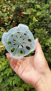 Pots Slotted <b>Planter</b> Phalaenopsis Flower - Product Image 4