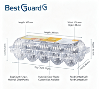 Barquette à œufs en plastique transparent de qualité alimentaire, personnalisable, résistante aux chocs, avec cavités sur mesure, emballage jetable en blister