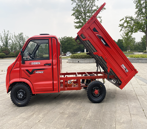 Minivan Elettrico EEC 60V 1800W con Batteria al Litio, Piccolo Veicolo Elettrico - Product Image 5