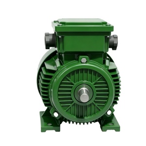 มอเตอร์ Weg รุ่น w21 4p 15KW 20HP ป้องกันการระเบิด 380V 400V 1500RPM มอเตอร์เหนี่ยวนำแบบไร้แปรงถ่าน AC 3 เฟส - Product Image 5