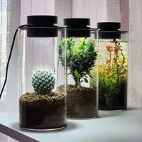 Terrarium cylindrique étroit SHIZI pour plantes carnivores avec éclairage LED à CRI 95 élevé pour Venus Flytrap Moss Factory Vendor