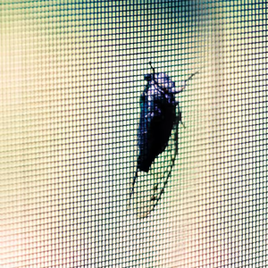 プラスチックネット50x25メッシュ,新鮮な果物と野菜防虫用カスタムカットサービス付き - Product Image 5