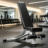 Banc de musculation pliable multi-usage avec capacité de 300 kg pour la musculation commerciale