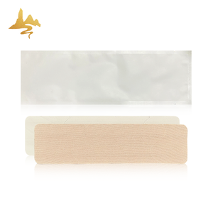 2025 chinois senteurs à base de plantes naturelles Patch de soulagement de la douleur menstruelle période de gestion des crampes féminines plâtre traditionnel soulagement des crampes - Product Image 5