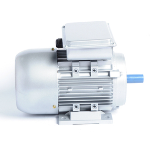 Động cơ điện một pha, động cơ cảm ứng xoay chiều 0.55kw 0.75HP 1HP 1.5HP 2HP 3HP 4HP 5HP <span class=keywords><strong>220V</strong></span> 230V 240V 50HZ - Product Image 2