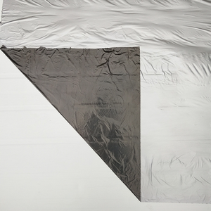 <span class=keywords><strong>Film</strong></span> Pacciamante in Plastica Premium Argento e Nero per Coltivazioni di Fragole e Cipolle - Product Image 4