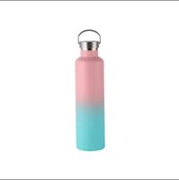 Botol Air Stainless Steel Lapis Ganda Berinsulasi dengan Tutup, Logo Custom Lukisan Sendiri, Murah Grosir untuk Camping, Mendaki, dan Hiking