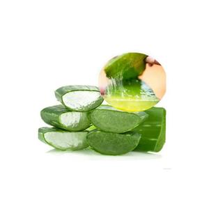 공장 공급 화장품 등급 알로에 베라 젤 - Product Image 3