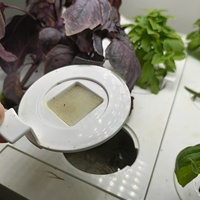 Boîte de culture hydroponique intelligente pour légumes avec éclairage LED et contrôle électronique, design moderne et luxueux pour la plantation en intérieur