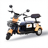 Tricycle électrique cargo à carrosserie ouverte, trois vitesses variables, capacité de charge de 100 kg, autonomie de 30 km, longue durée de vie