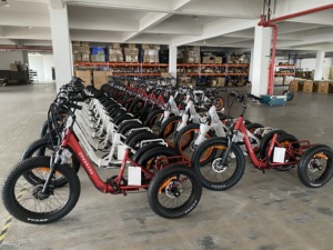 EN15194<span class=keywords><strong>สามล้อ</strong></span>ไฟฟ้าพับได้250W แพนด้าพร้อมมอเตอร์หน้า25กม./ชม. ซ่อมง่ายมีสิทธิบัตรรถสามล้อไฟฟ้าสำหรับผู้ใหญ่แบบถอยหลัง - Product Image 3