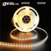 Tira de Luces LED de Alta Densidad de 5 mm, DC 12v 24v 10W Smd2835, Adhesiva, Cortable en 120D, Plateada, en Oferta