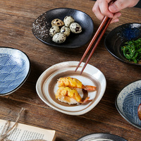Vaisselle en céramique transfrontalière, plat japonais pour barbecue et sushi, plat à sashimi de forme irrégulière, plat à sauce pour fondue, compatible micro-ondes, émaillé