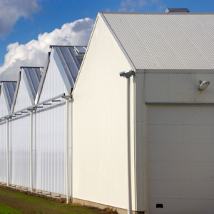 Chuyên gia xây dựng nhà kính nhà kính lớn nhịp nhà kính nông nghiệp, quy hoạch tùy chỉnh, thiết kế và hướng dẫn xây dựng - Product Image 3