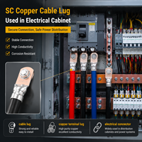 Connecteur de câble en cuivre étamé robuste, borne de batterie SC, connecteur à sertir, connecteur électrique 16MM2-400MM2