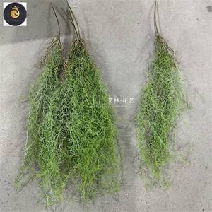 Simulazione aria <span class=keywords><strong>veccia</strong></span> selvaggia appesa Tillandsia usneoides soffitto appesa in stile Mori <span class=keywords><strong>pianta</strong></span> verde matrimonio morbido - Product Image 1