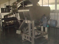 Machine de traitement de fruits Machine à jus d'ananas entièrement automatique en acier inoxydable SUS304 Processus de jus de fruits
