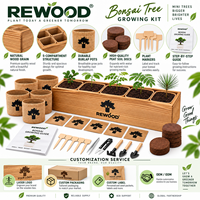 Kit de culture de bonsaï en gros avec boîte de plantation en bois, 5 variétés de graines, ensemble cadeau DIY, OEM ODM, marque privée