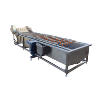 Commerciële fruit-, groente- en schuimwasmachine, industriële bananen- en kleine groentewasmachine, kleine commerciële fruitwasmachine