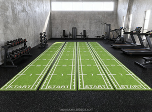 Tapis <span class=keywords><strong>de</strong></span> sol <span class=keywords><strong>en</strong></span> gazon artificiel pour salle <span class=keywords><strong>de</strong></span> sport, tapis <span class=keywords><strong>de</strong></span> glisse pour fitness, gazon synthétique, conception personnalisée gratuite - Product Image 3