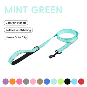 สายจูงสุนัขไนลอนสีน้ำเงิน ทนทาน สีพื้นเรียบง่าย เชือกฝึกสุนัขสำหรับเดิน วิ่ง - Product Image 6