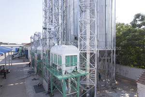 <span class=keywords><strong>Silo</strong></span> Trang Trại Giá Nhà Máy Để Bán <span class=keywords><strong>Silo</strong></span> Chứa Ngũ Cốc Để Đựng Lúa - Product Image 5