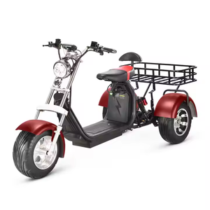 Triciclo Eléctrico de 3 Ruedas, Ampliamente Utilizado, Scooter Eléctrico Personalizable con Control Remoto - Product Image 6