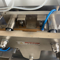 Pompe péristaltique automatique, machine de remplissage et de scellage de liquides en ampoules en plastique de 10 ml