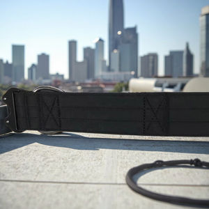 Collares ecológicos de calidad <span class=keywords><strong>superior</strong></span> para perros, correas para mascotas, cómodas, reciclables, de poliéster acolchado, características sólidas para amigos peludos - Product Image 6